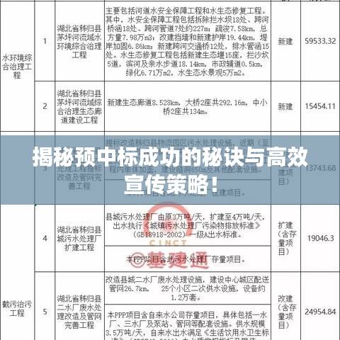 揭秘预中标成功的秘诀与高效宣传策略！