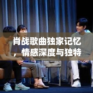 肖战歌曲独家记忆，情感深度与独特韵味的音乐之旅