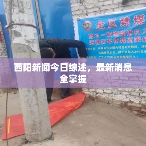 西阳新闻今日综述，最新消息全掌握
