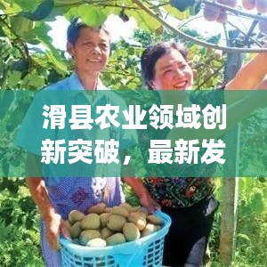 滑县农业领域创新突破，最新发展动态聚焦