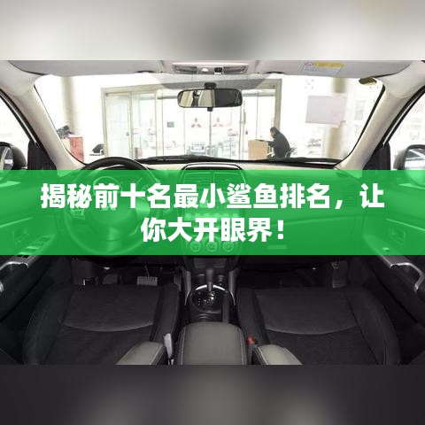 揭秘前十名最小鲨鱼排名，让你大开眼界！