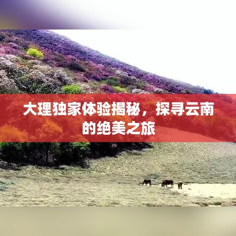 大理独家体验揭秘，探寻云南的绝美之旅