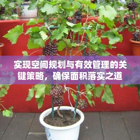 实现空间规划与有效管理的关键策略，确保面积落实之道