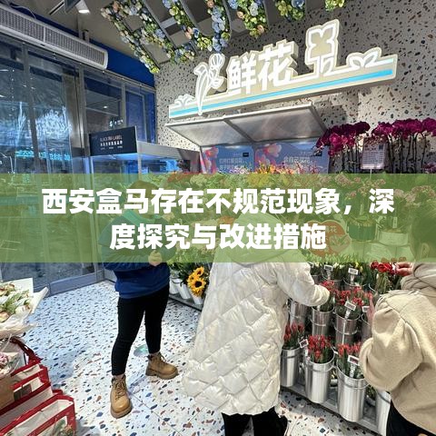 西安盒马存在不规范现象，深度探究与改进措施