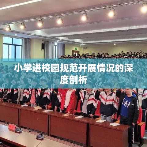 小学进校园规范开展情况的深度剖析