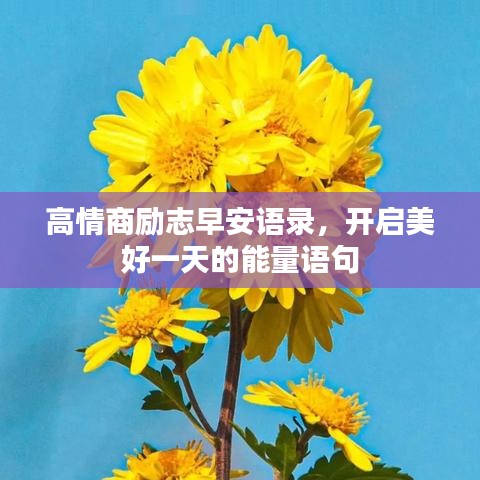 高情商励志早安语录，开启美好一天的能量语句
