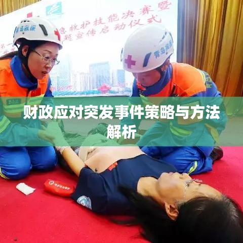 财政应对突发事件策略与方法解析