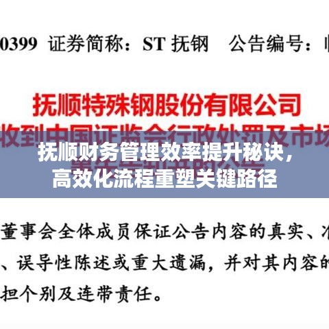抚顺财务管理效率提升秘诀，高效化流程重塑关键路径