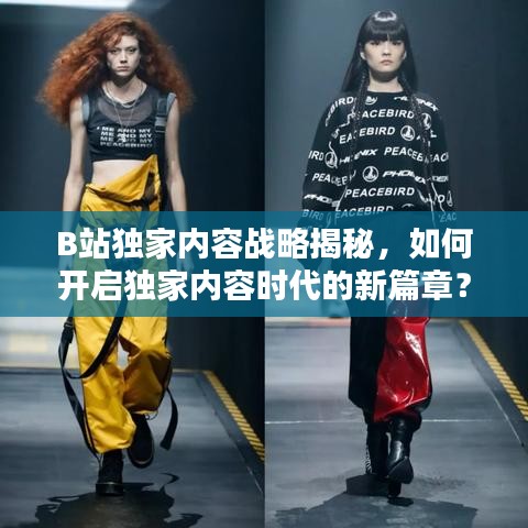 B站独家内容战略揭秘，如何开启独家内容时代的新篇章？