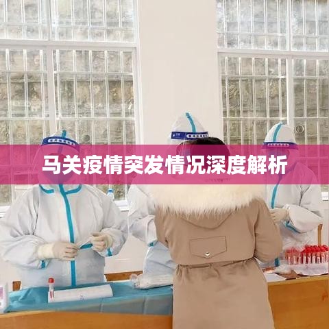 马关疫情突发情况深度解析