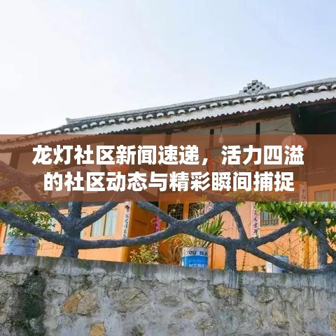 龙灯社区新闻速递，活力四溢的社区动态与精彩瞬间捕捉
