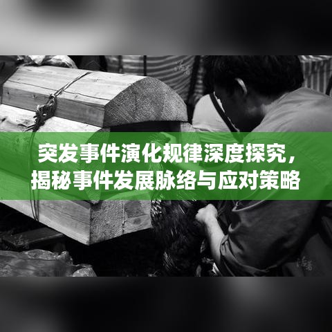 突发事件演化规律深度探究，揭秘事件发展脉络与应对策略
