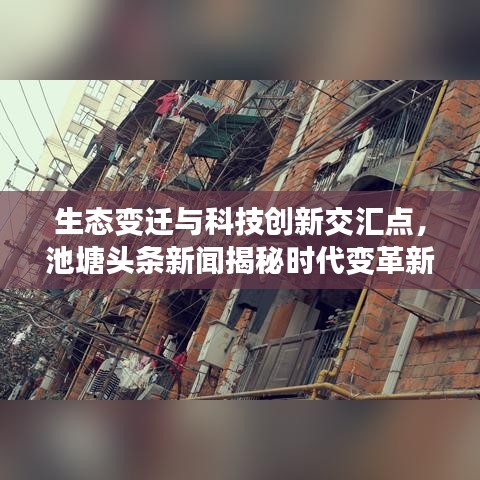 生态变迁与科技创新交汇点，池塘头条新闻揭秘时代变革新动向