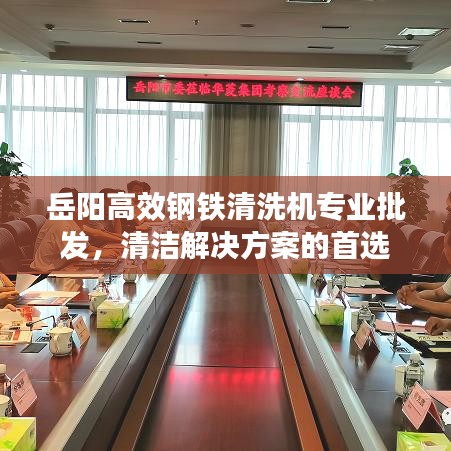 岳阳高效钢铁清洗机专业批发，清洁解决方案的首选