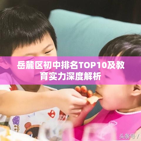岳麓区初中排名TOP10及教育实力深度解析