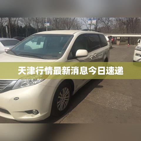 天津行情最新消息今日速递