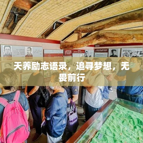 天养励志语录，追寻梦想，无畏前行