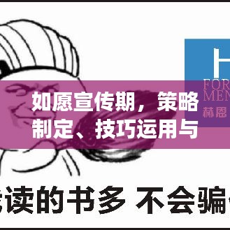 如愿宣传期，策略制定、技巧运用与成功的关键要素解析