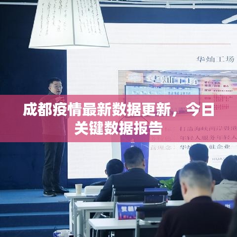 成都疫情最新数据更新，今日关键数据报告