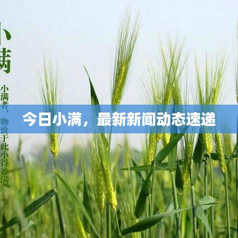 今日小满，最新新闻动态速递
