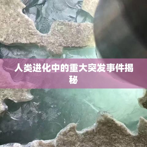 人类进化中的重大突发事件揭秘