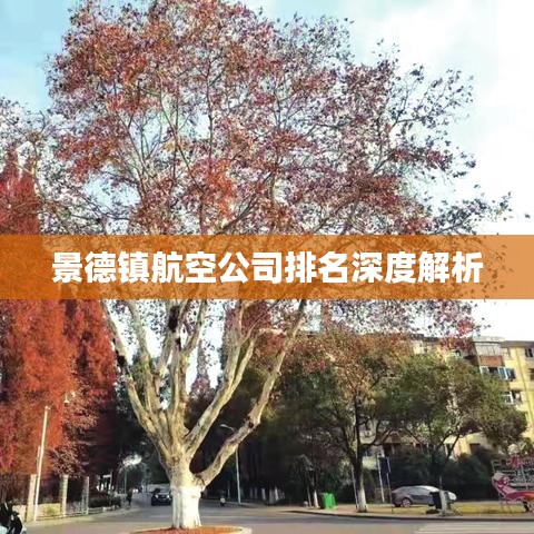 景德镇航空公司排名深度解析