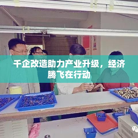 千企改造助力产业升级，经济腾飞在行动