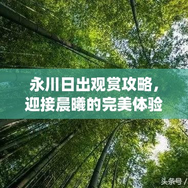 永川日出观赏攻略，迎接晨曦的完美体验
