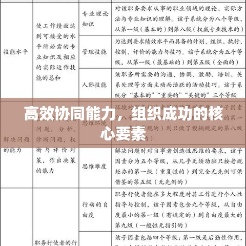 高效协同能力，组织成功的核心要素