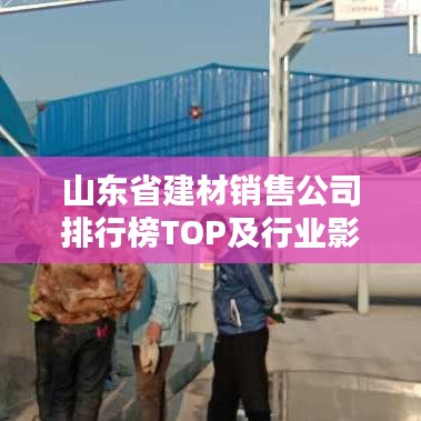 山东省建材销售公司排行榜TOP及行业影响力解析