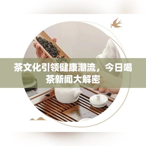 茶文化引领健康潮流，今日喝茶新闻大解密