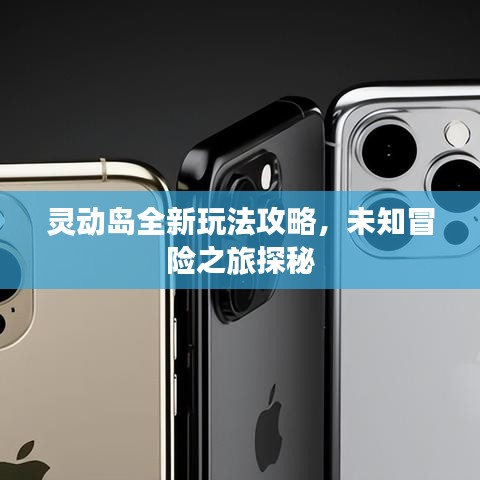 灵动岛全新玩法攻略，未知冒险之旅探秘