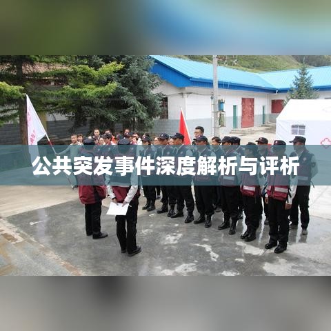 公共突发事件深度解析与评析