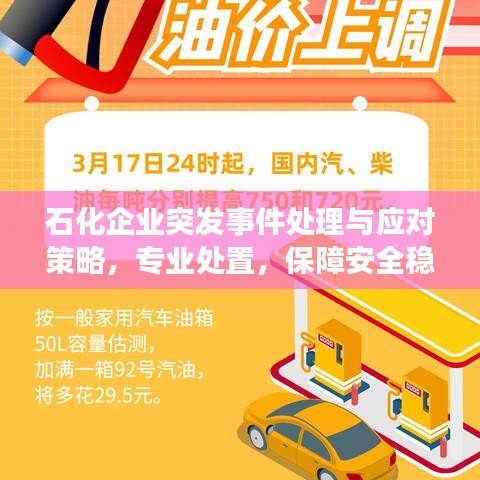 石化企业突发事件处理与应对策略，专业处置，保障安全稳定