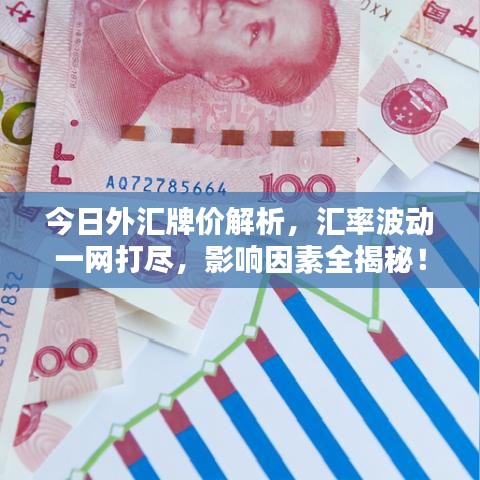 今日外汇牌价解析，汇率波动一网打尽，影响因素全揭秘！