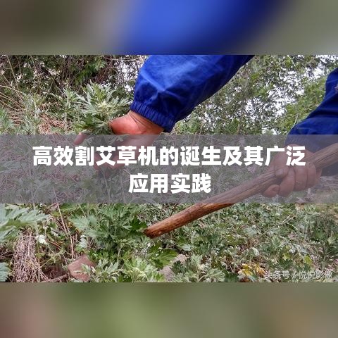 高效割艾草机的诞生及其广泛应用实践