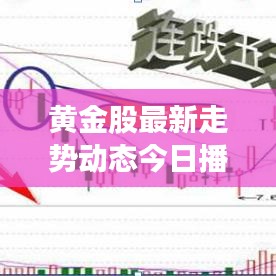 黄金股最新走势动态今日播报