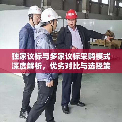 独家议标与多家议标采购模式深度解析，优劣对比与选择策略