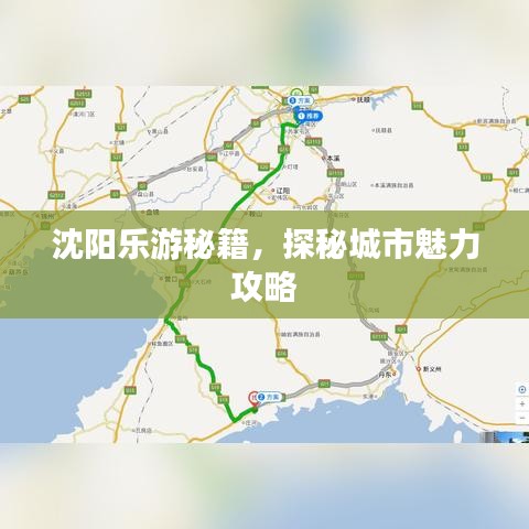 沈阳乐游秘籍，探秘城市魅力攻略
