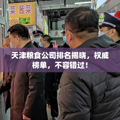 天津粮食公司排名揭晓，权威榜单，不容错过！