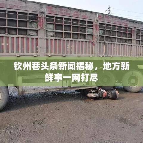 钦州巷头条新闻揭秘，地方新鲜事一网打尽