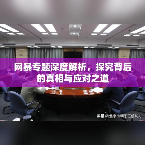 网暴专题深度解析，探究背后的真相与应对之道