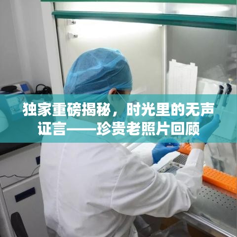 独家重磅揭秘，时光里的无声证言——珍贵老照片回顾