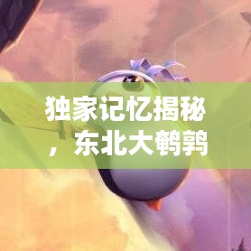 独家记忆揭秘，东北大鹌鹑的独特魅力