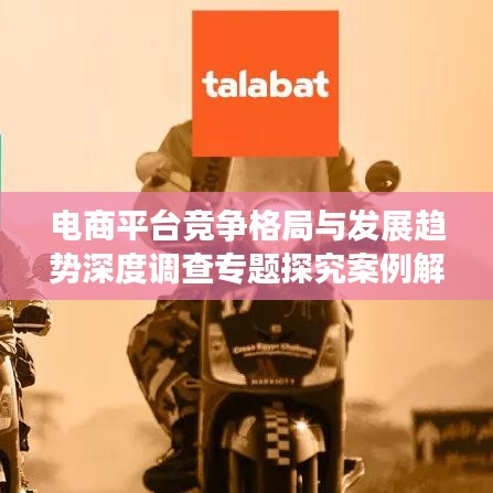 电商平台竞争格局与发展趋势深度调查专题探究案例解析