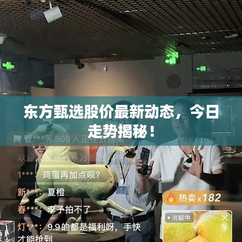 东方甄选股价最新动态，今日走势揭秘！