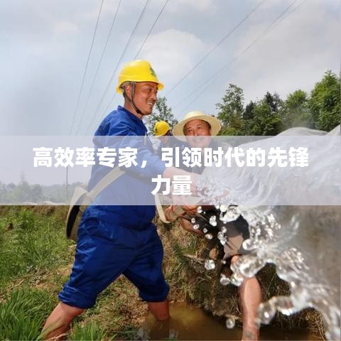 高效率专家，引领时代的先锋力量