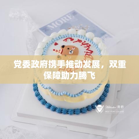 党委政府携手推动发展，双重保障助力腾飞