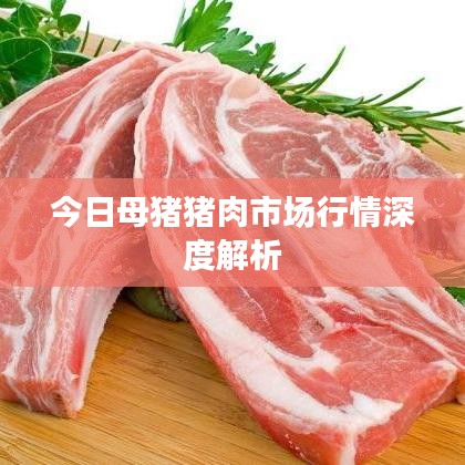 今日母猪猪肉市场行情深度解析