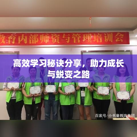 高效学习秘诀分享，助力成长与蜕变之路